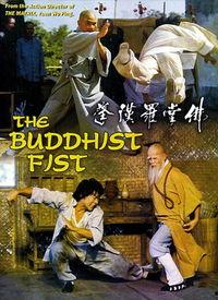 佛掌罗汉拳 电影,传奇武术的传奇人生
